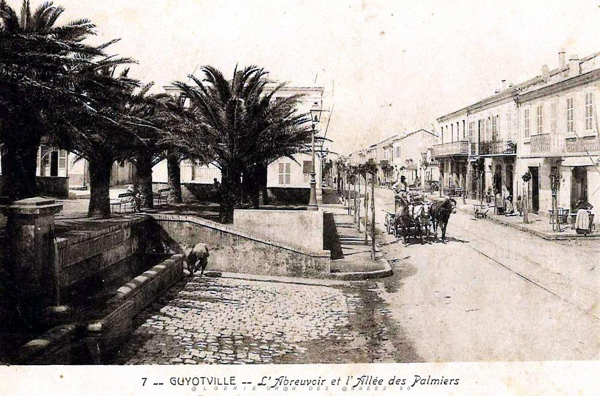Guyotville - Abreuvoir et Allee des Palmiers.jpg